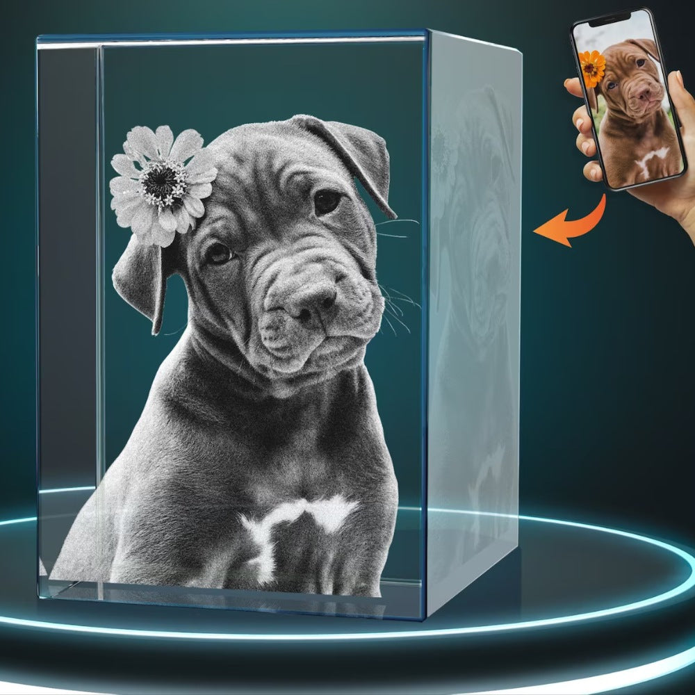 3D Photo Crystal | Rectangle